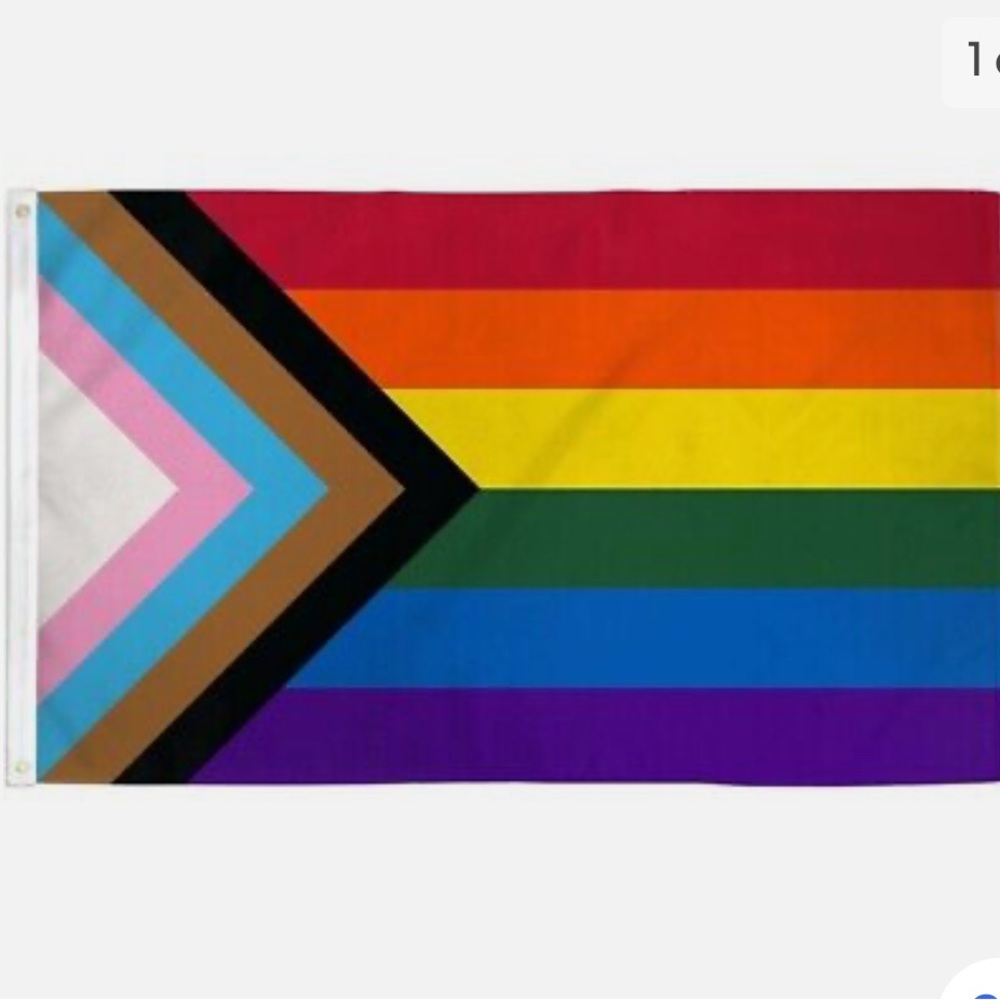 #TakePride Flag Banner 3'x5' by Daniel Quasar NWT Sealed